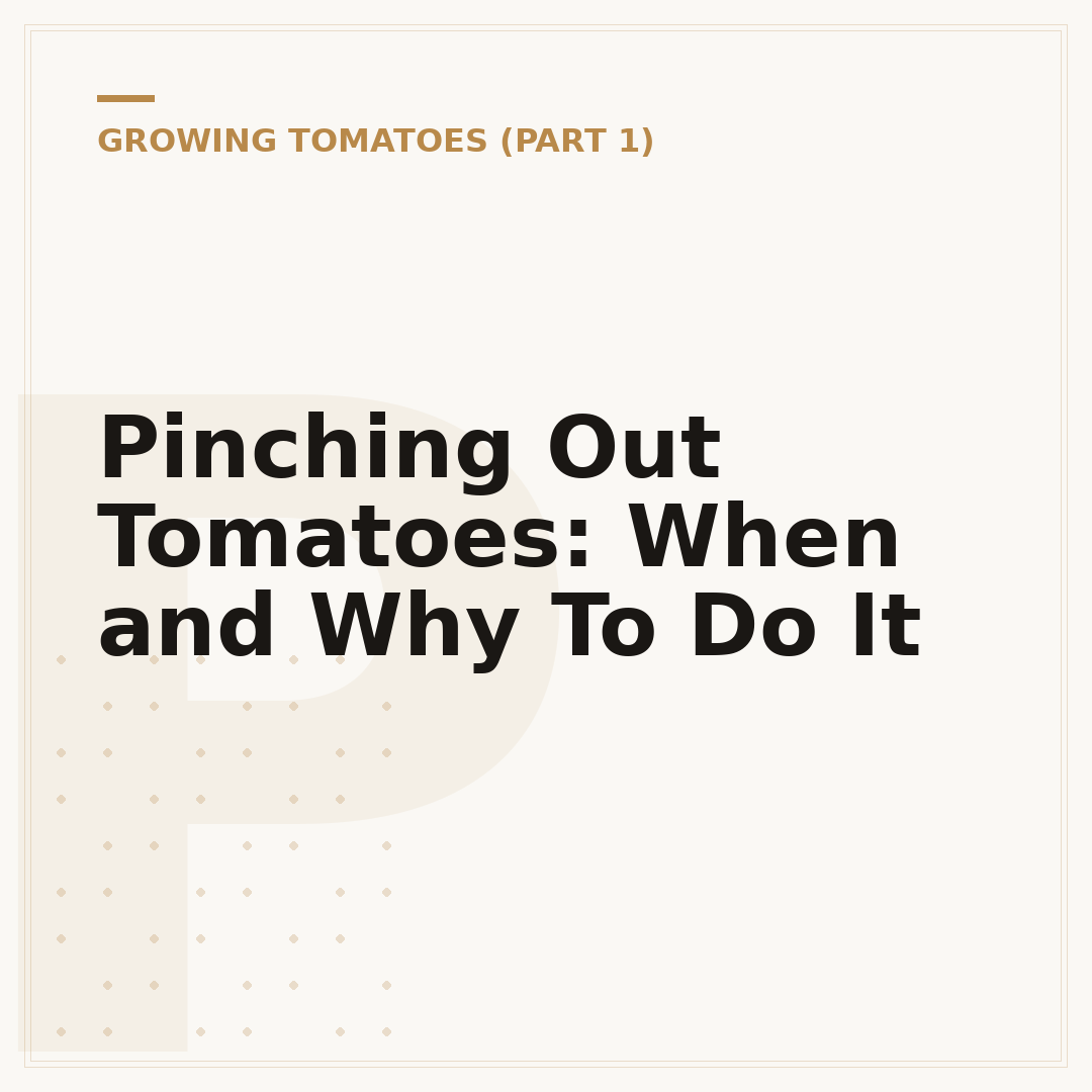 Pinching Out Tomatoes: When and Why To Do It