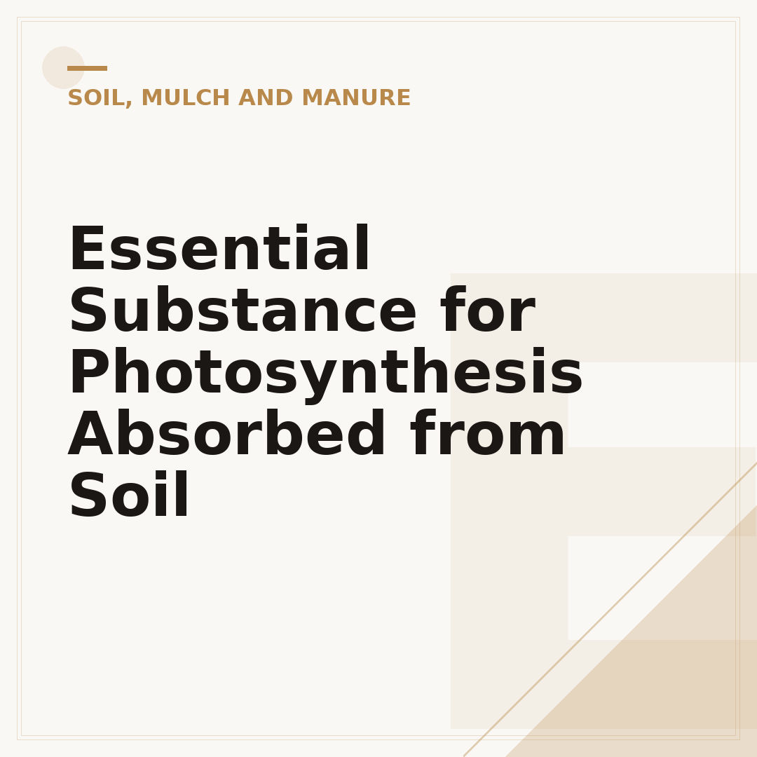 Essential Substance for Photosynthesis Absorbed from Soil