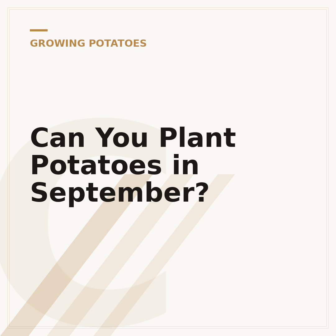 Can You Plant Potatoes in September?