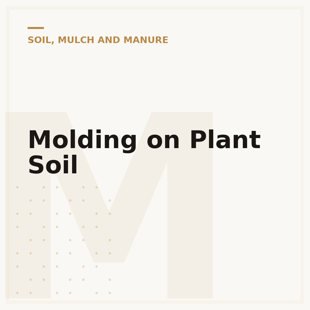 Molding on Plant Soil