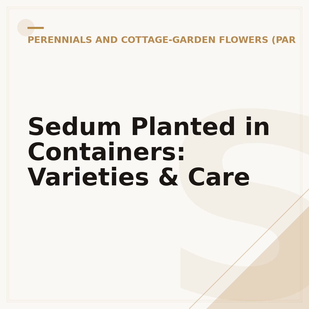 Sedum Planted in Containers: Varieties & Care