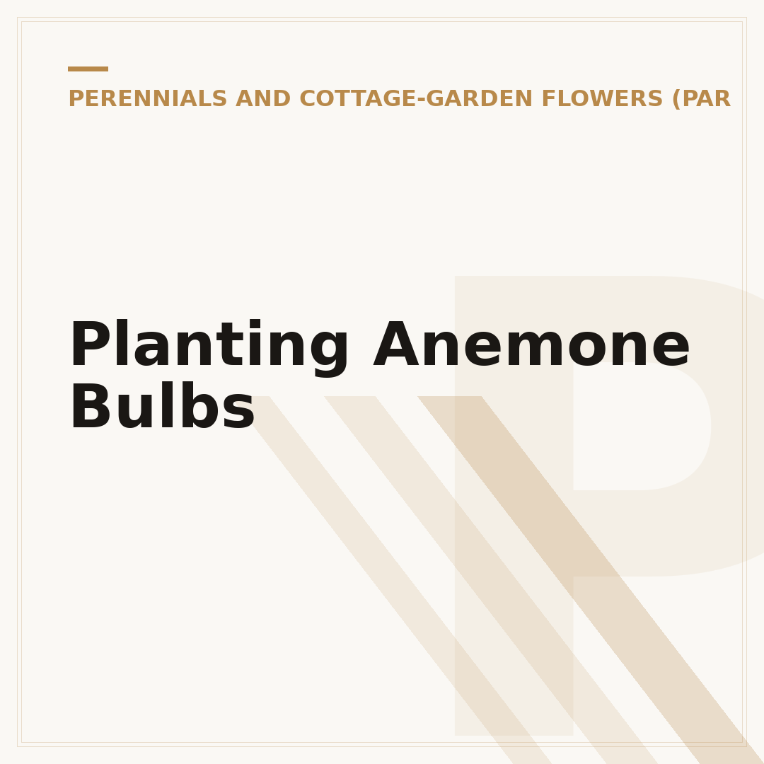 Planting Anemone Bulbs