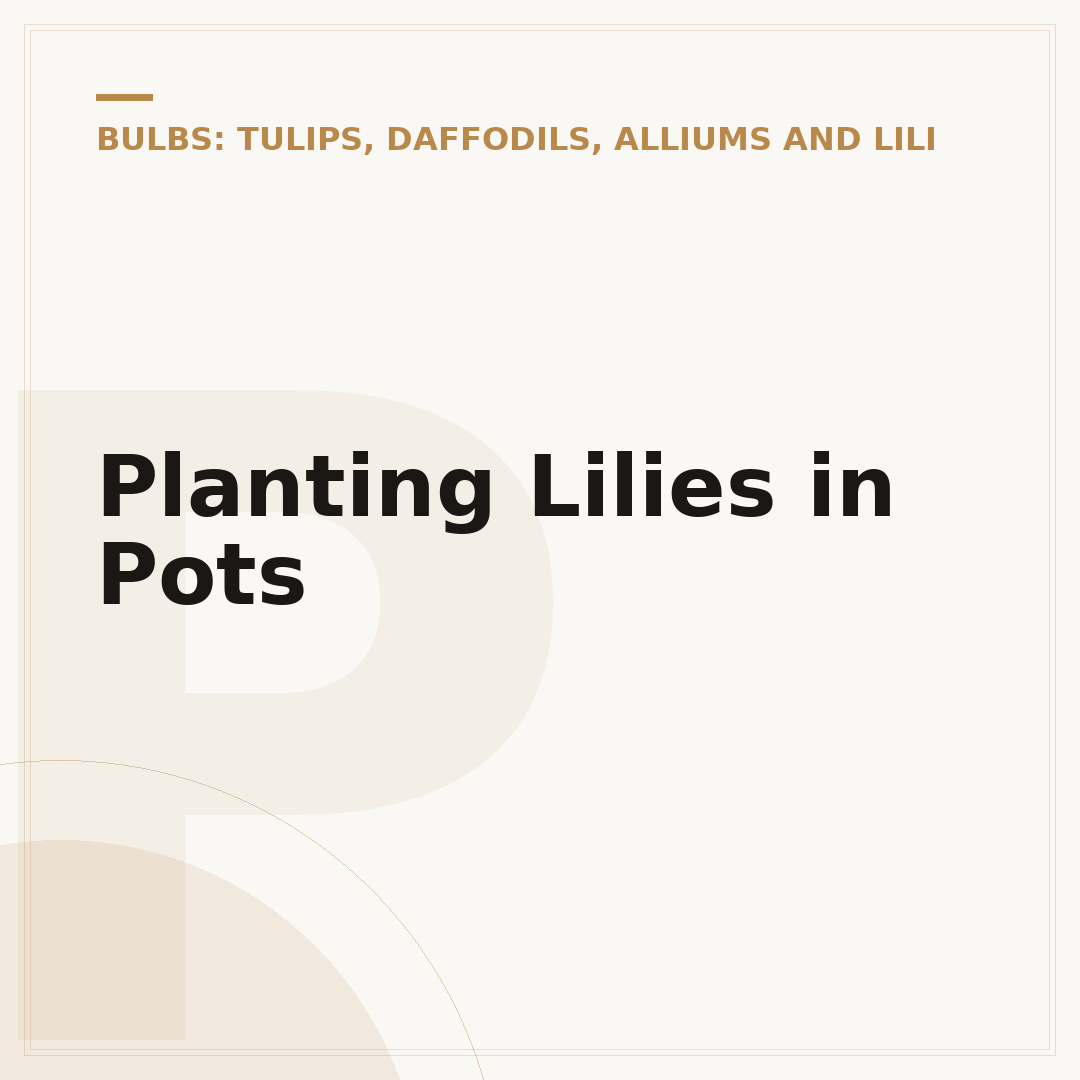 Planting Lilies in Pots