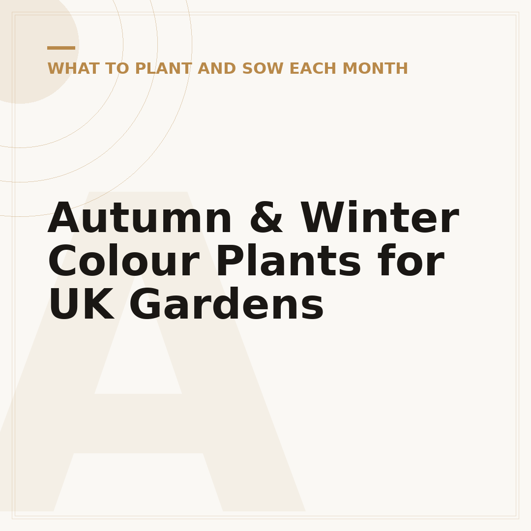 Autumn & Winter Colour Plants for UK Gardens