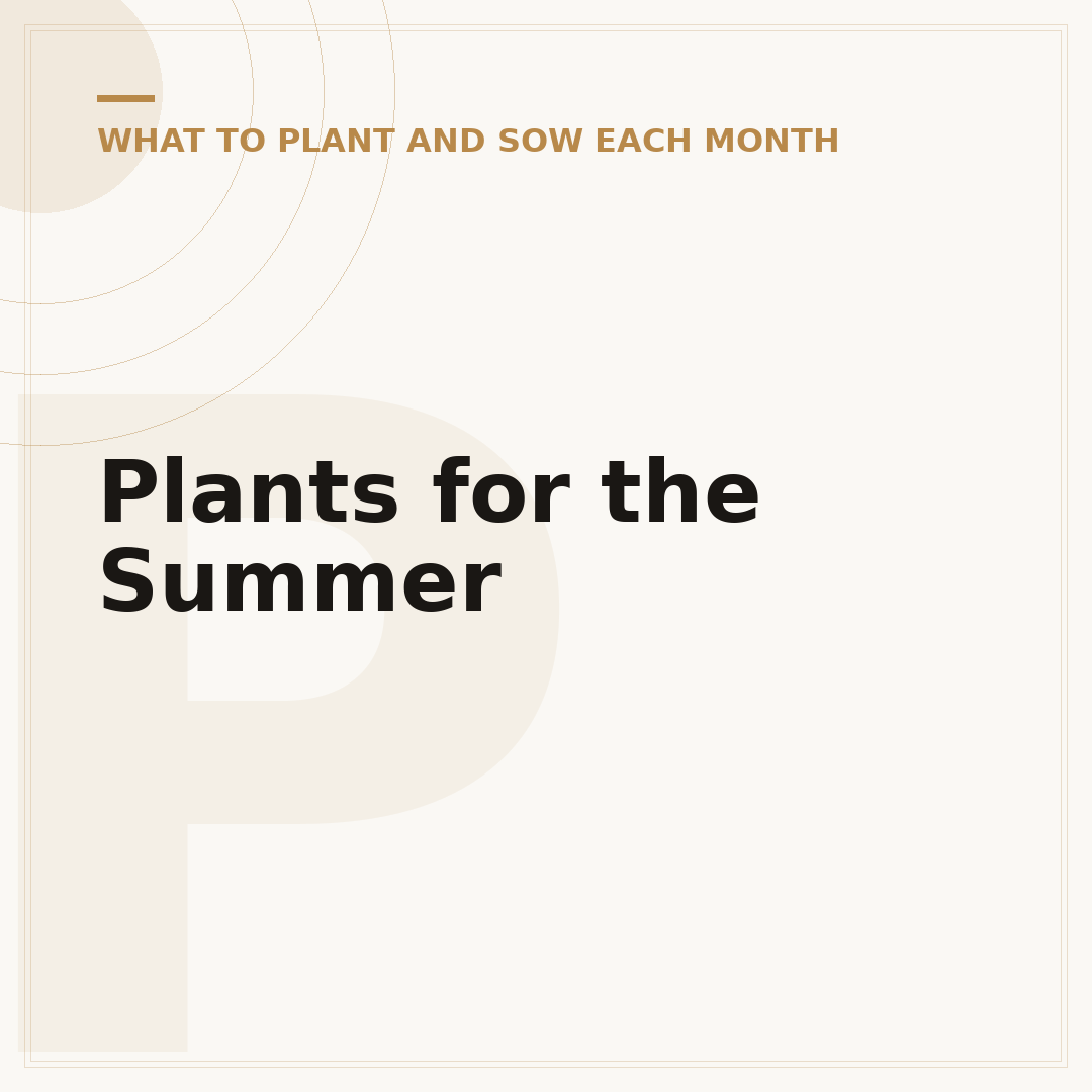 Plants for the Summer