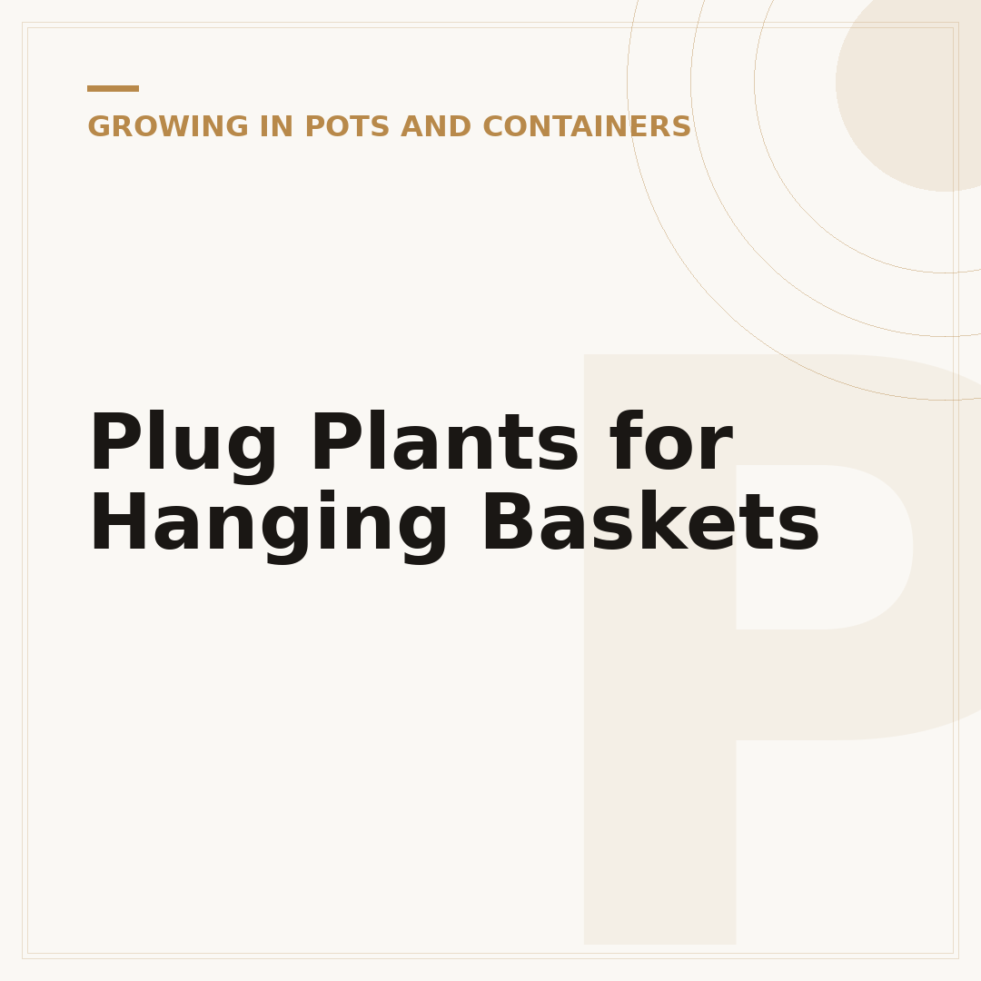 Plug Plants for Hanging Baskets