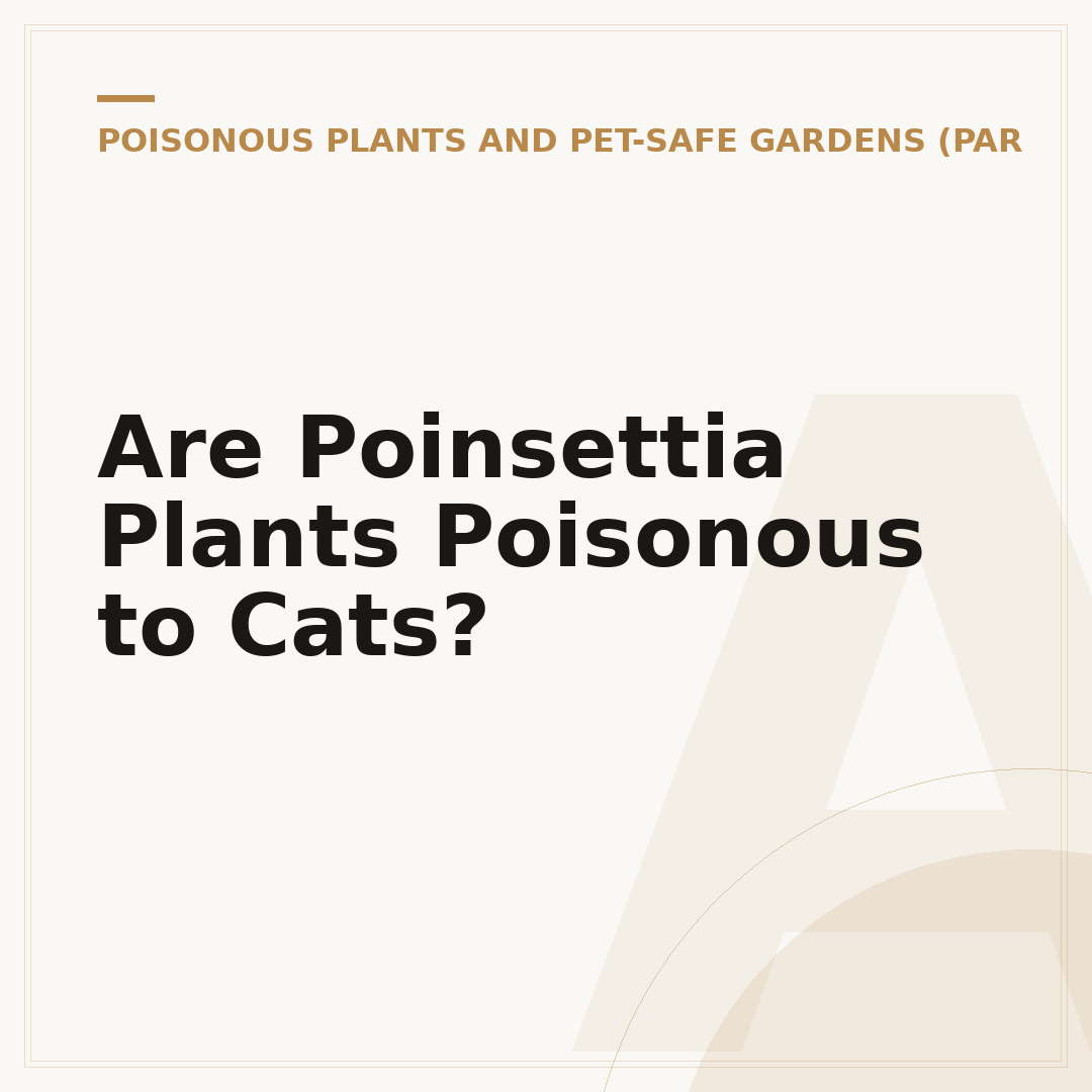 Are Poinsettia Plants Poisonous to Cats?