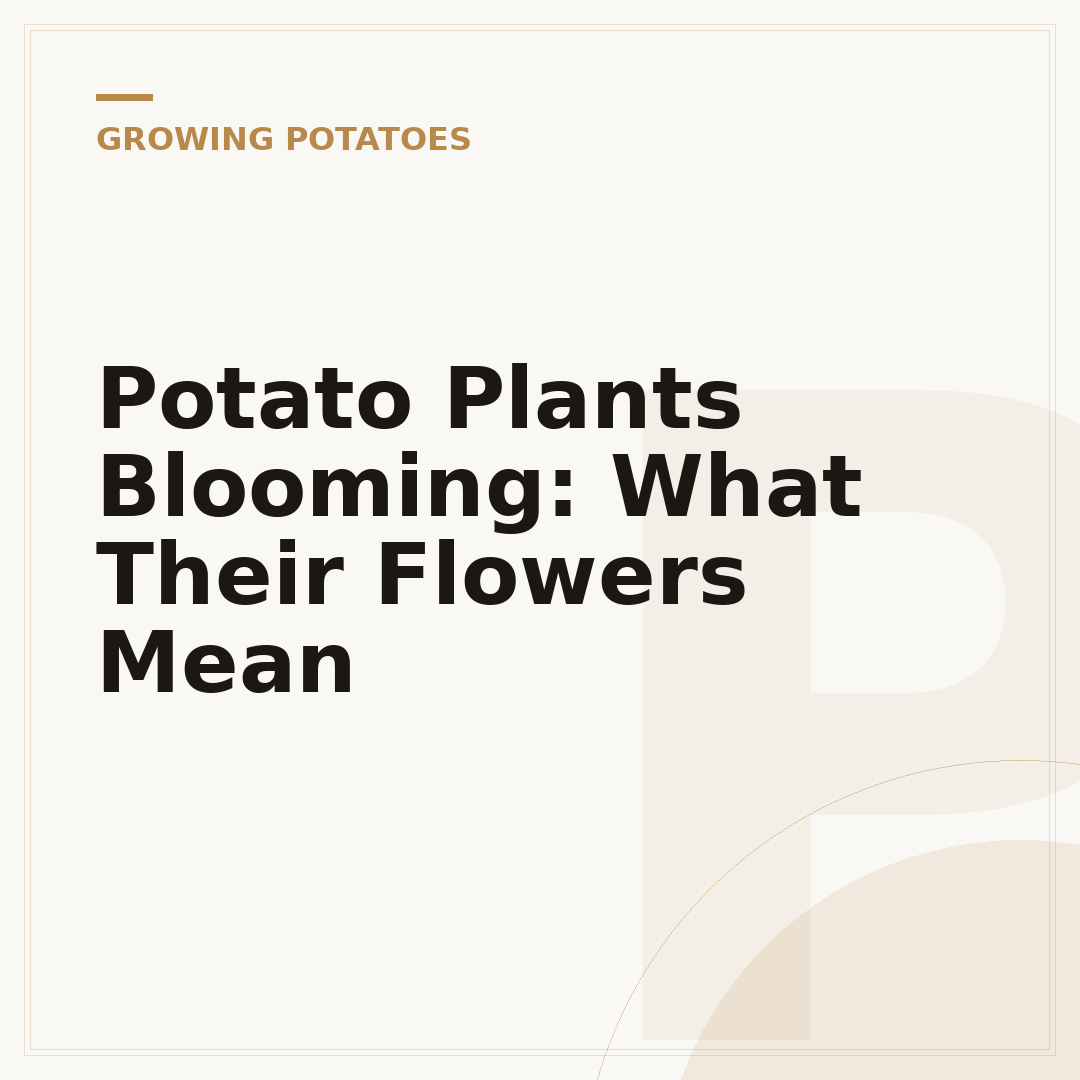Potato Plants Blooming: What Their Flowers Mean