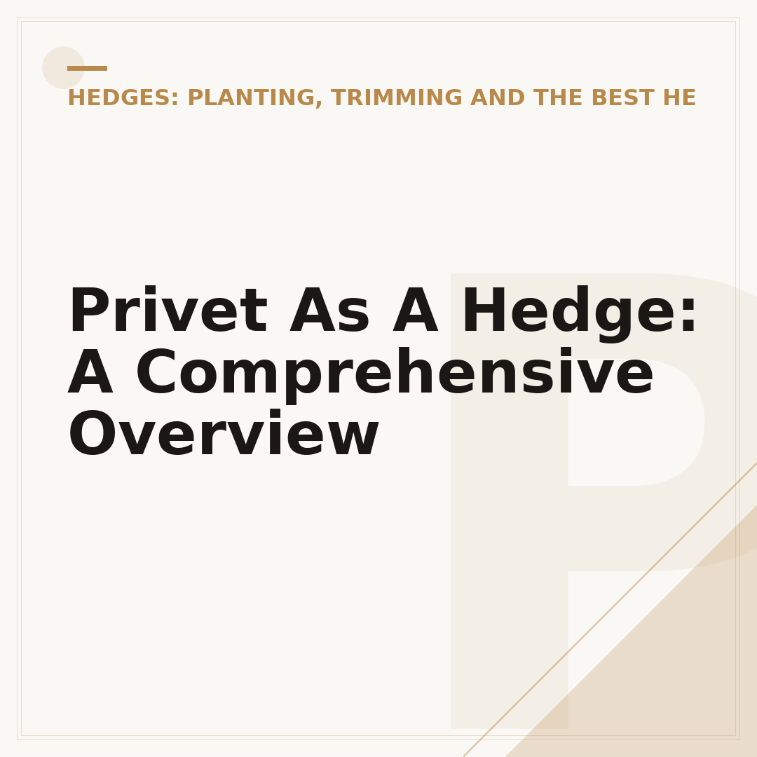 Privet As A Hedge: A Comprehensive Overview