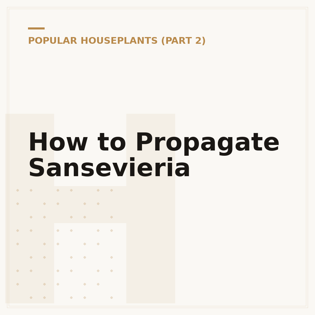How to Propagate Sansevieria