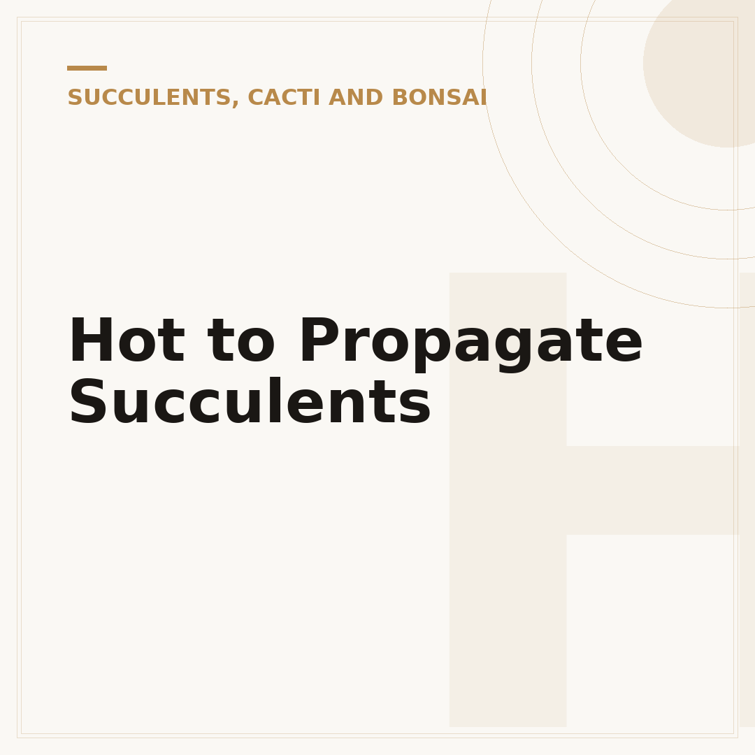 Hot to Propagate Succulents