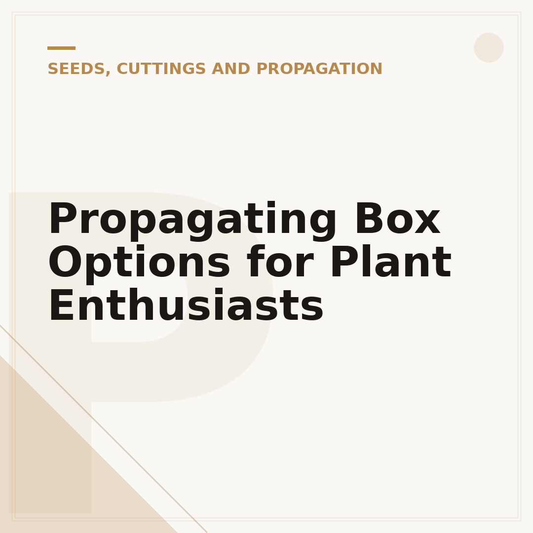 Propagating Box Options for Plant Enthusiasts