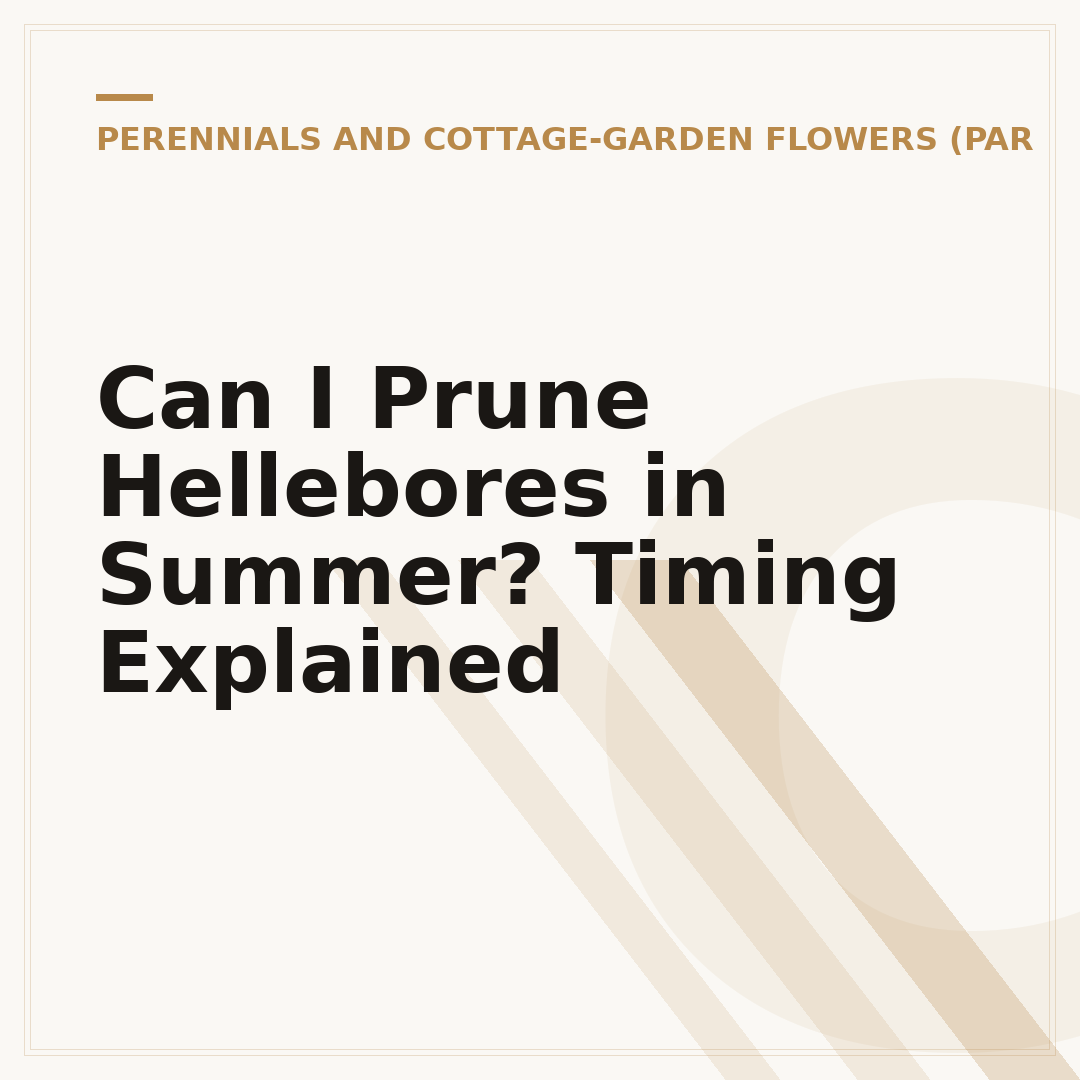 Can I Prune Hellebores in Summer? Timing Explained