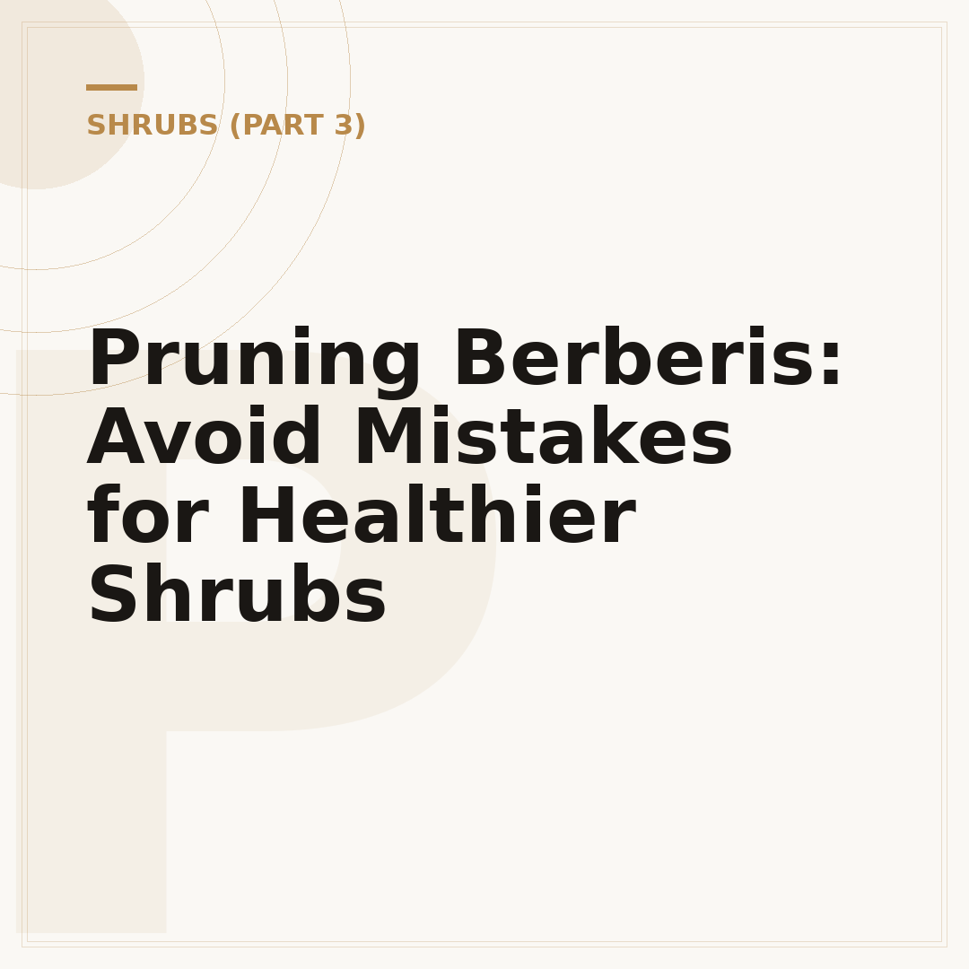 Pruning Berberis: Avoid Mistakes for Healthier Shrubs