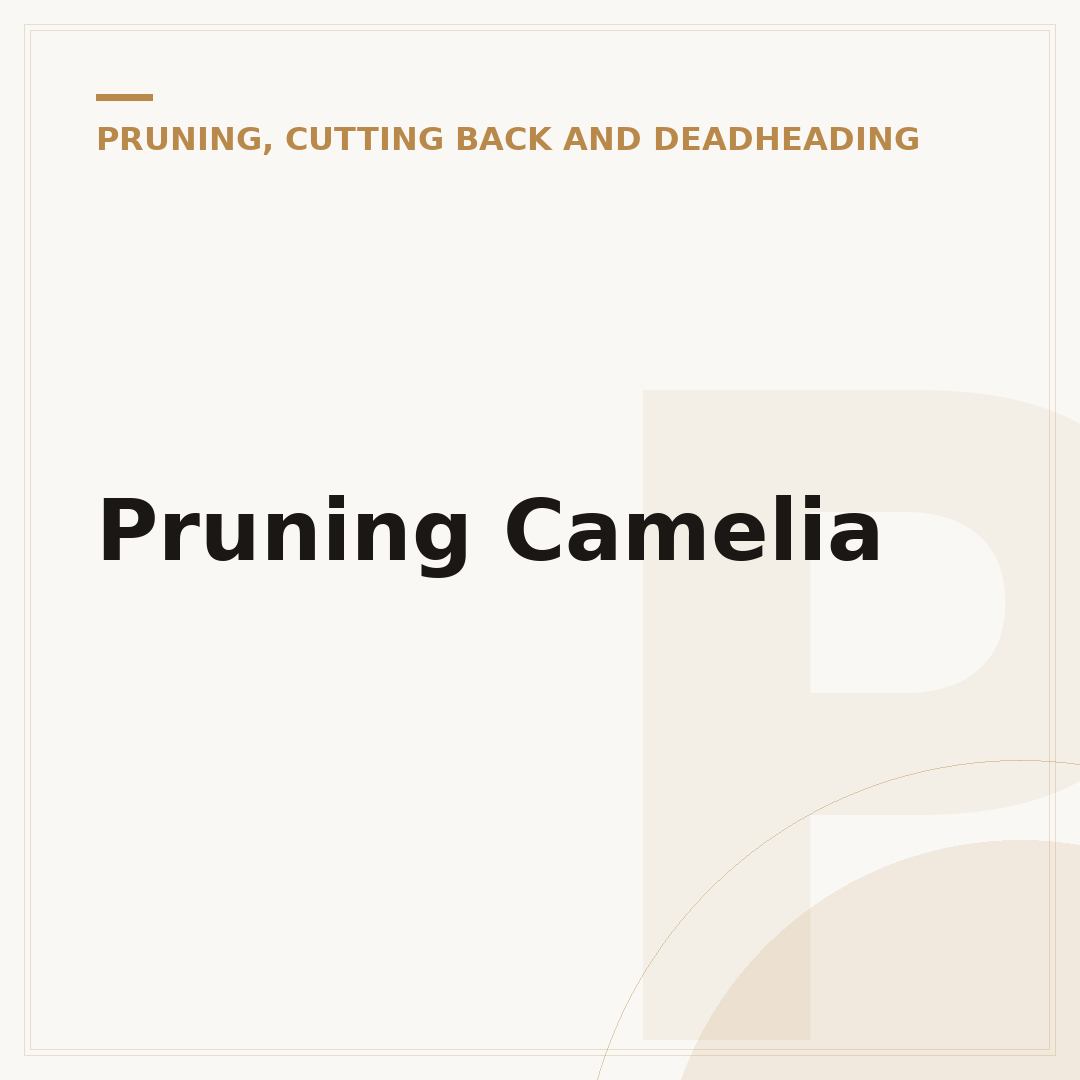 Pruning Camelia
