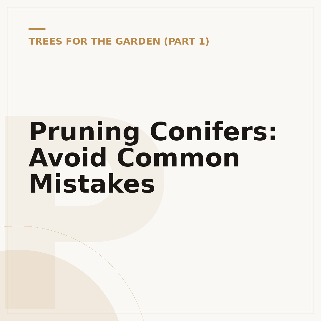 Pruning Conifers: Avoid Common Mistakes