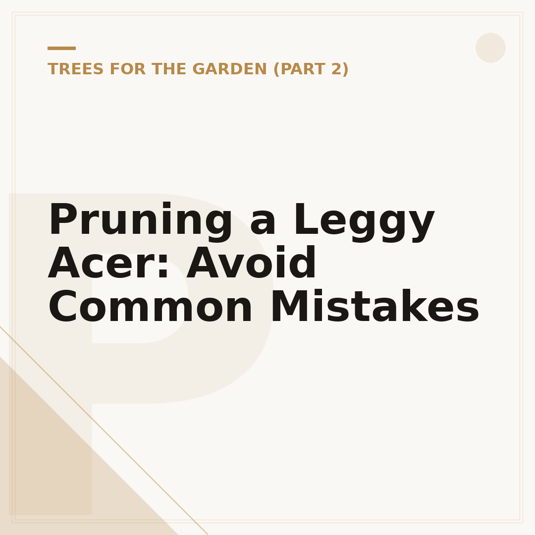 Pruning a Leggy Acer: Avoid Common Mistakes
