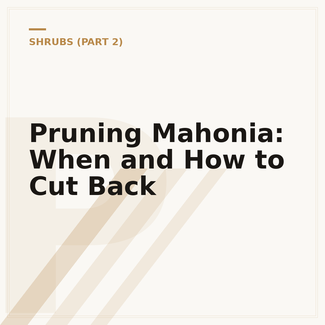 Pruning Mahonia: When and How to Cut Back