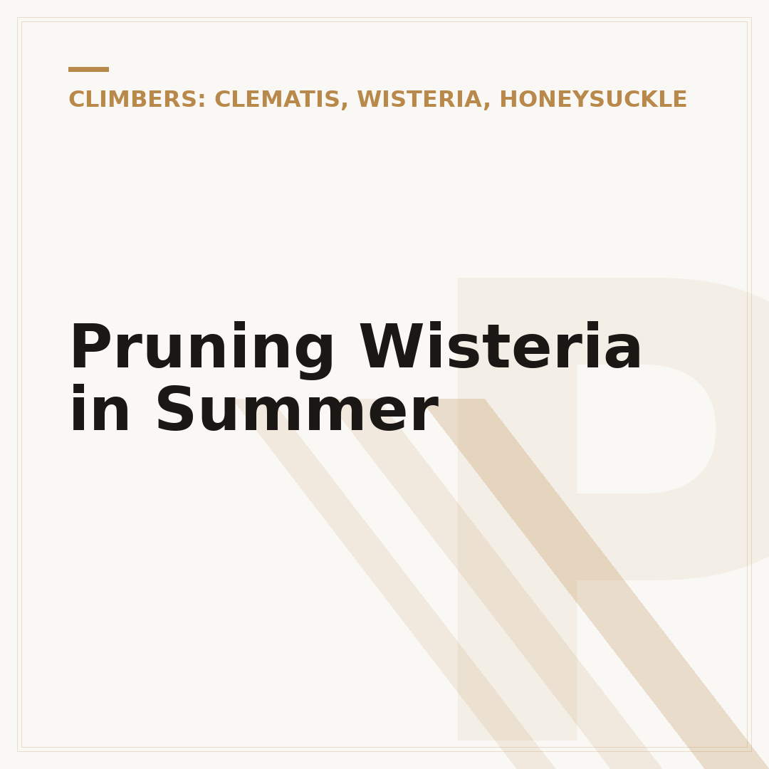 Pruning Wisteria in Summer