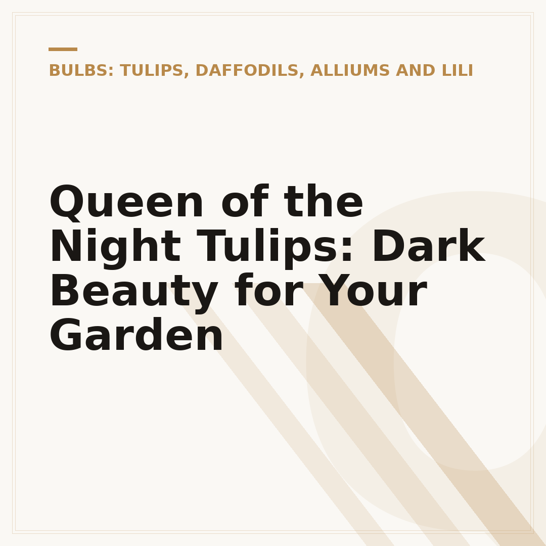 Queen of the Night Tulips: Dark Beauty for Your Garden