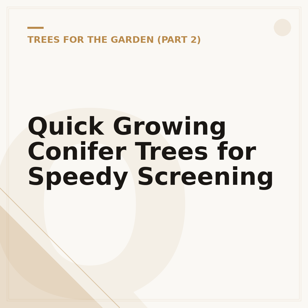 Quick Growing Conifer Trees for Speedy Screening