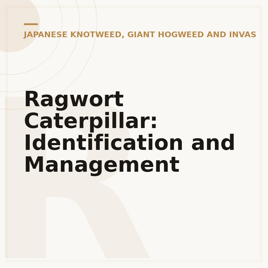 Ragwort Caterpillar: Identification and Management