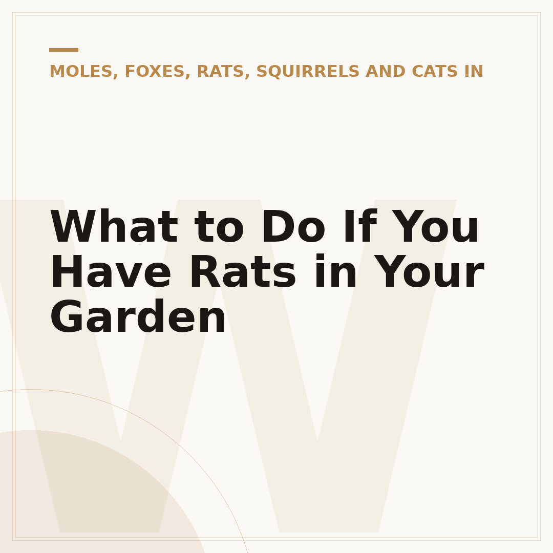 What to Do If You Have Rats in Your Garden