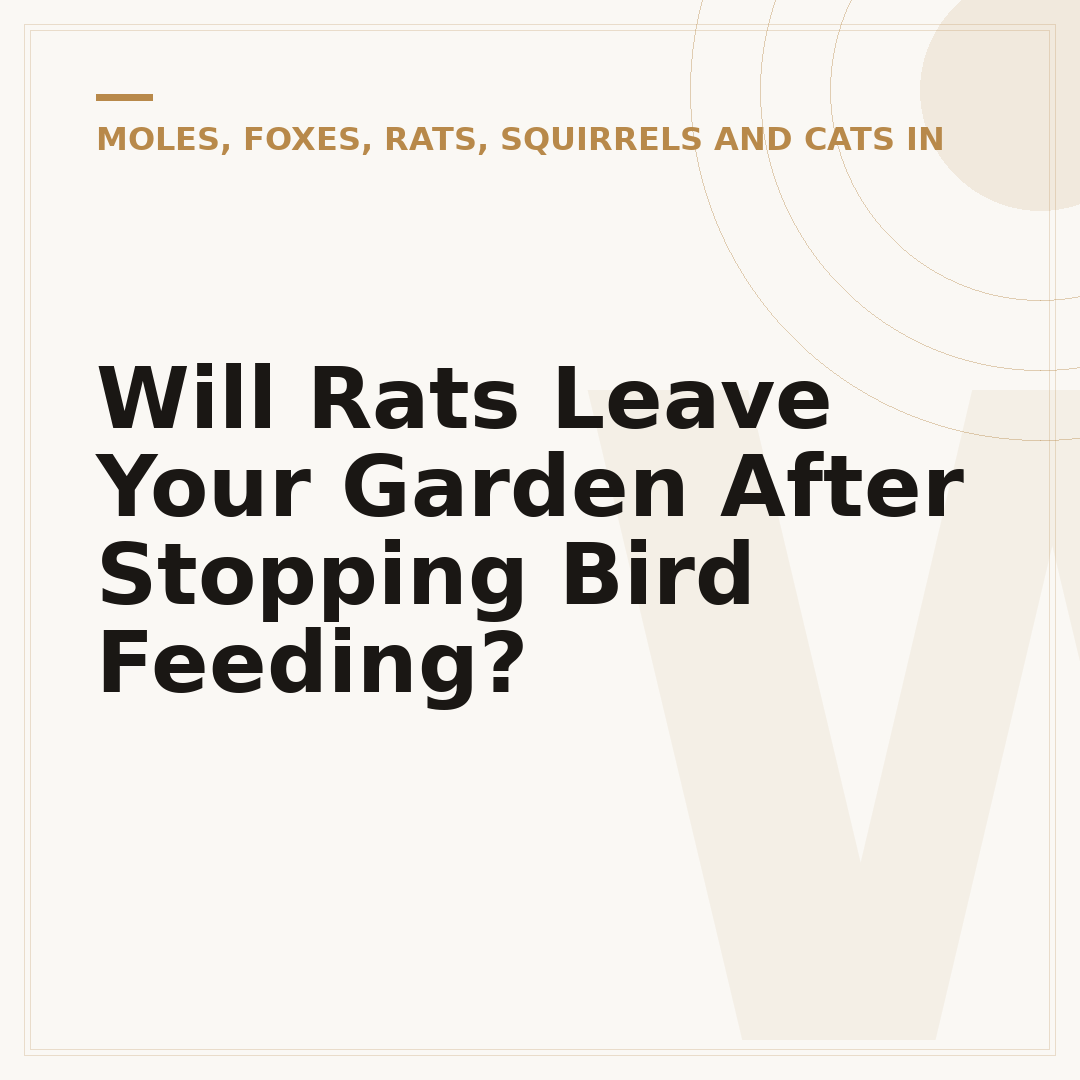 Will Rats Leave Your Garden After Stopping Bird Feeding?