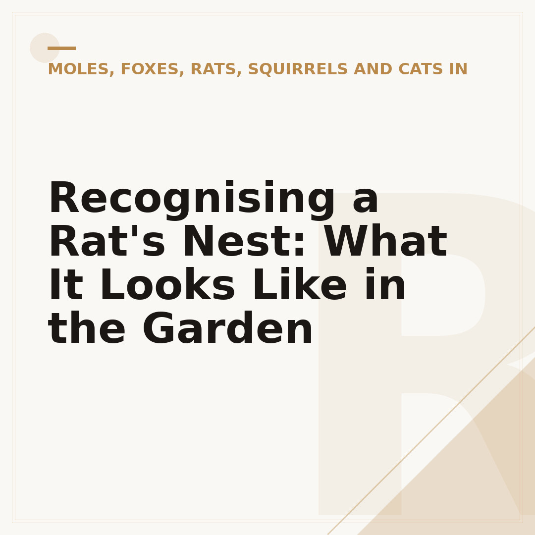 Recognising a Rat's Nest: What It Looks Like in the Garden