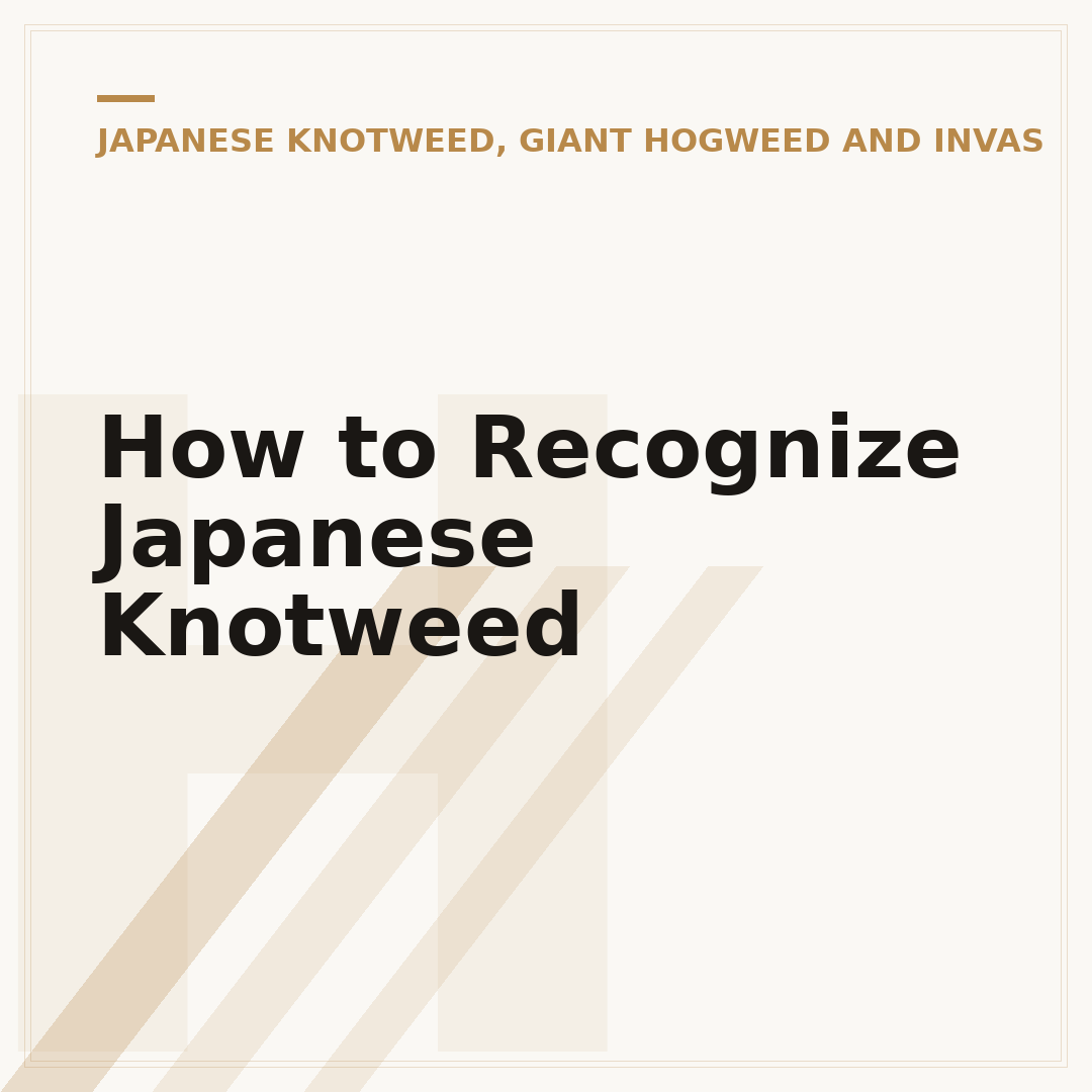 How to Recognize Japanese Knotweed