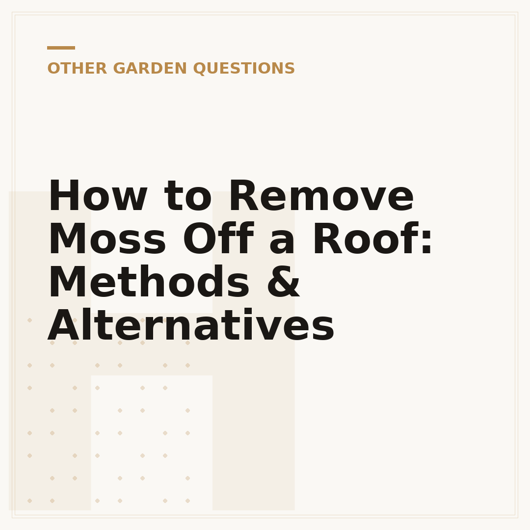 How to Remove Moss Off a Roof: Methods & Alternatives