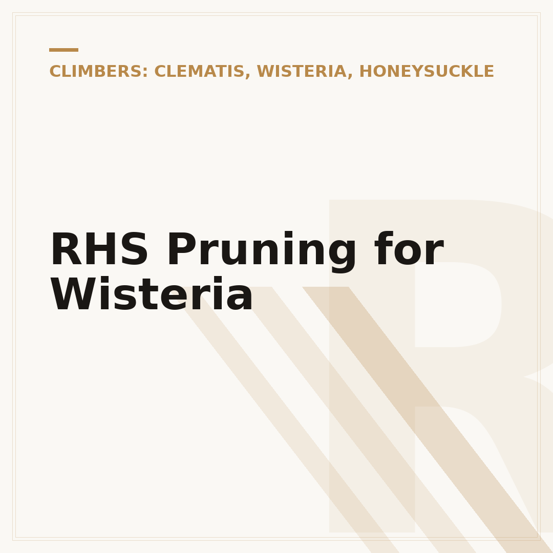 RHS Pruning for Wisteria