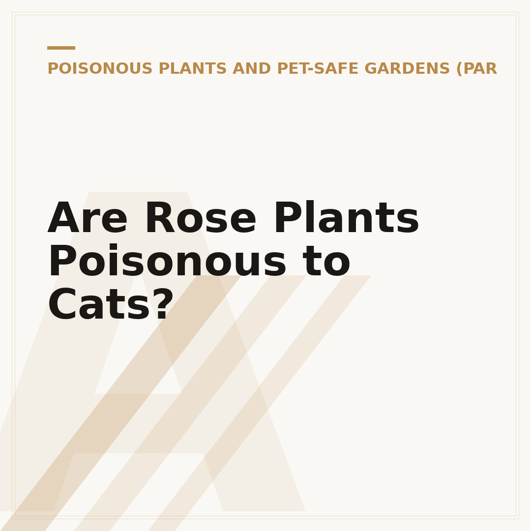 Are Rose Plants Poisonous to Cats?