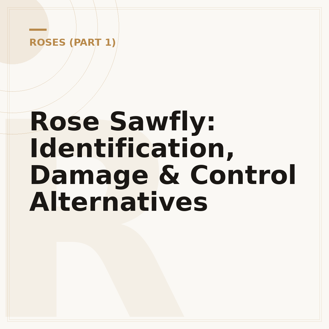 Rose Sawfly: Identification, Damage & Control Alternatives