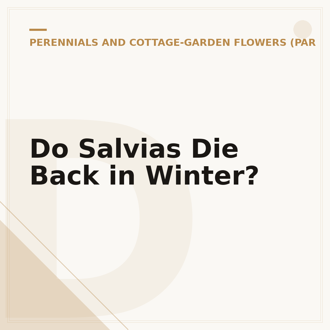 Do Salvias Die Back in Winter?