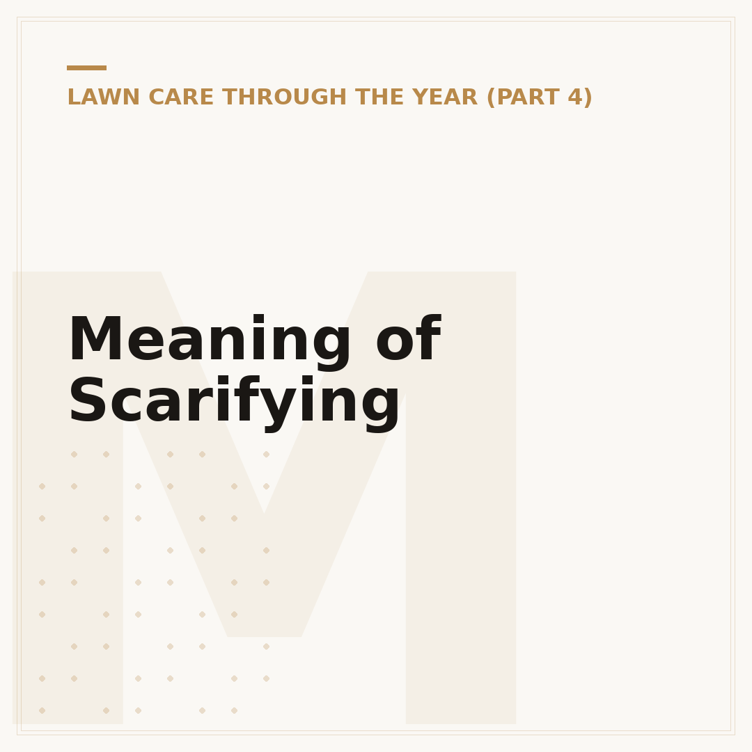 Meaning of Scarifying