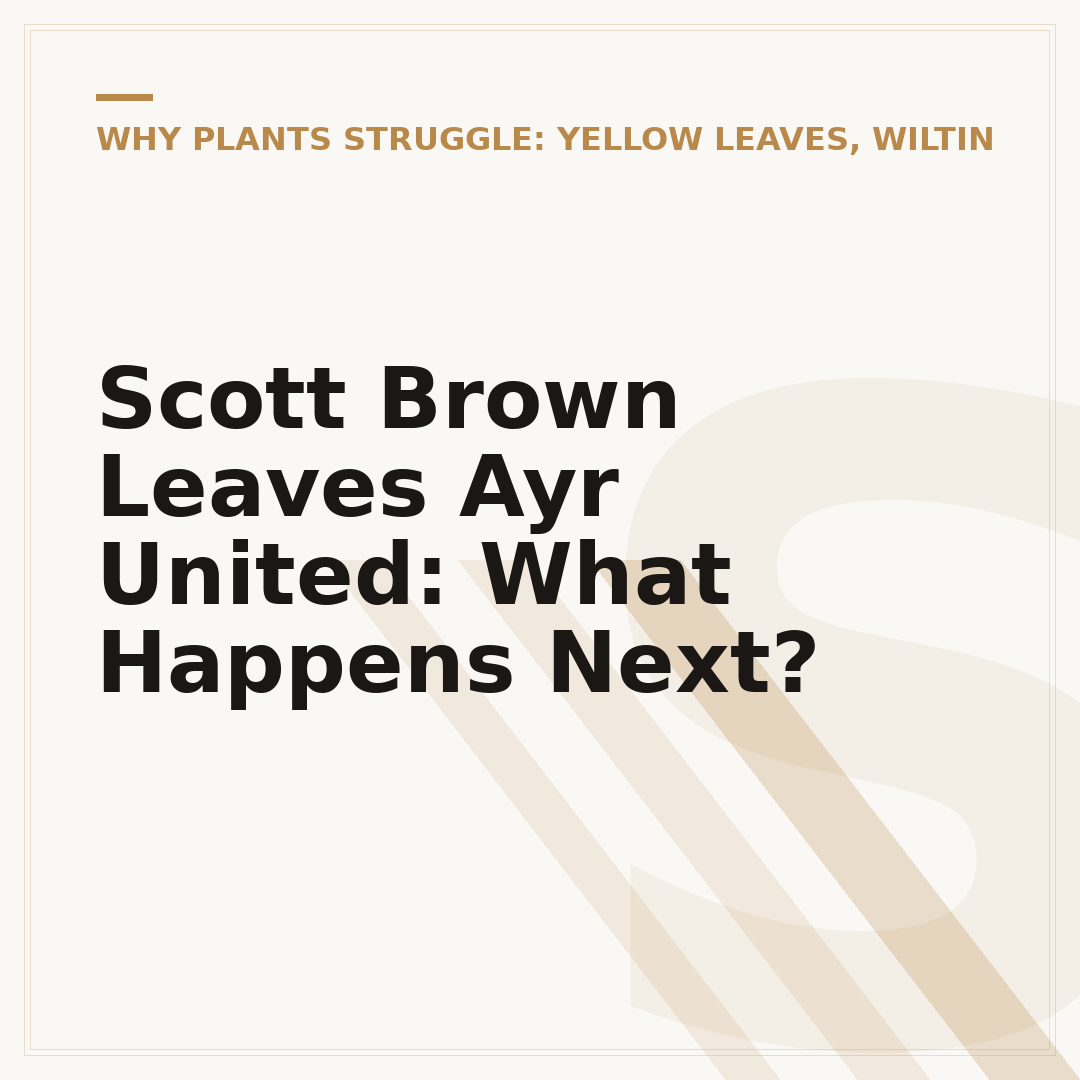 Scott Brown Leaves Ayr United: What Happens Next?