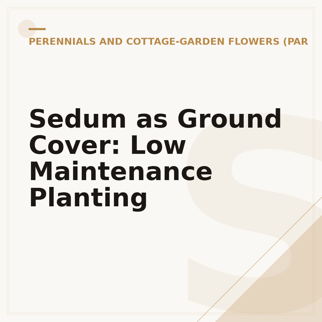 Sedum as Ground Cover: Low Maintenance Planting