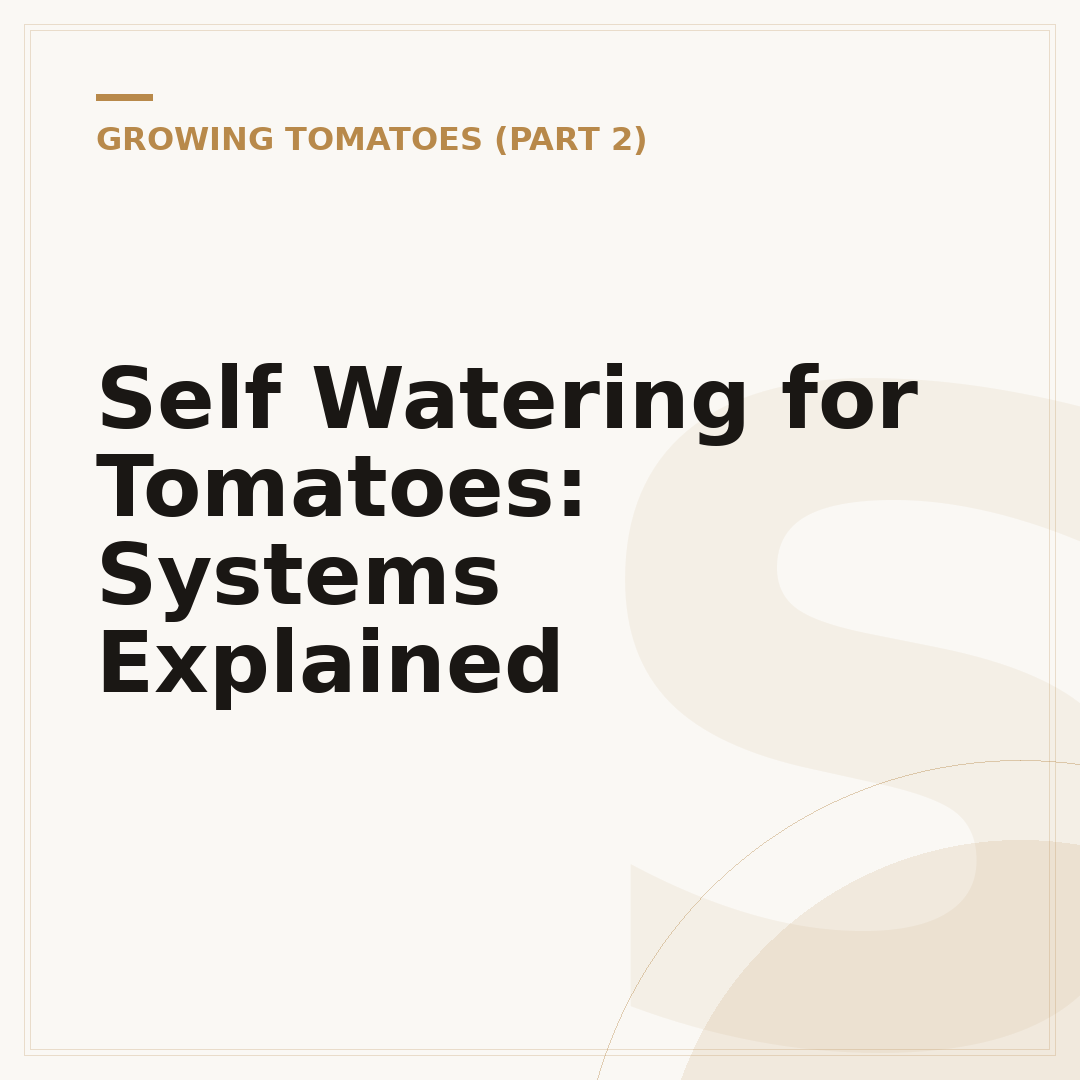 Self Watering for Tomatoes: Systems Explained