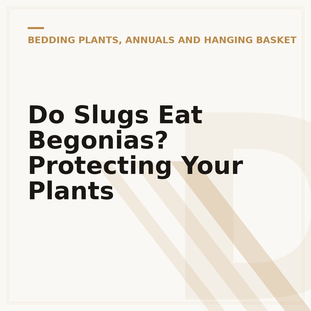 Do Slugs Eat Begonias? Protecting Your Plants