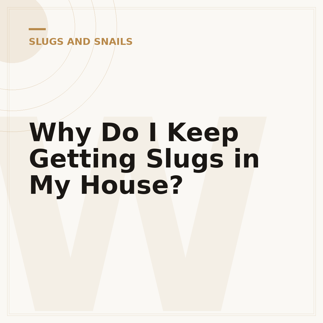 Why Do I Keep Getting Slugs in My House?