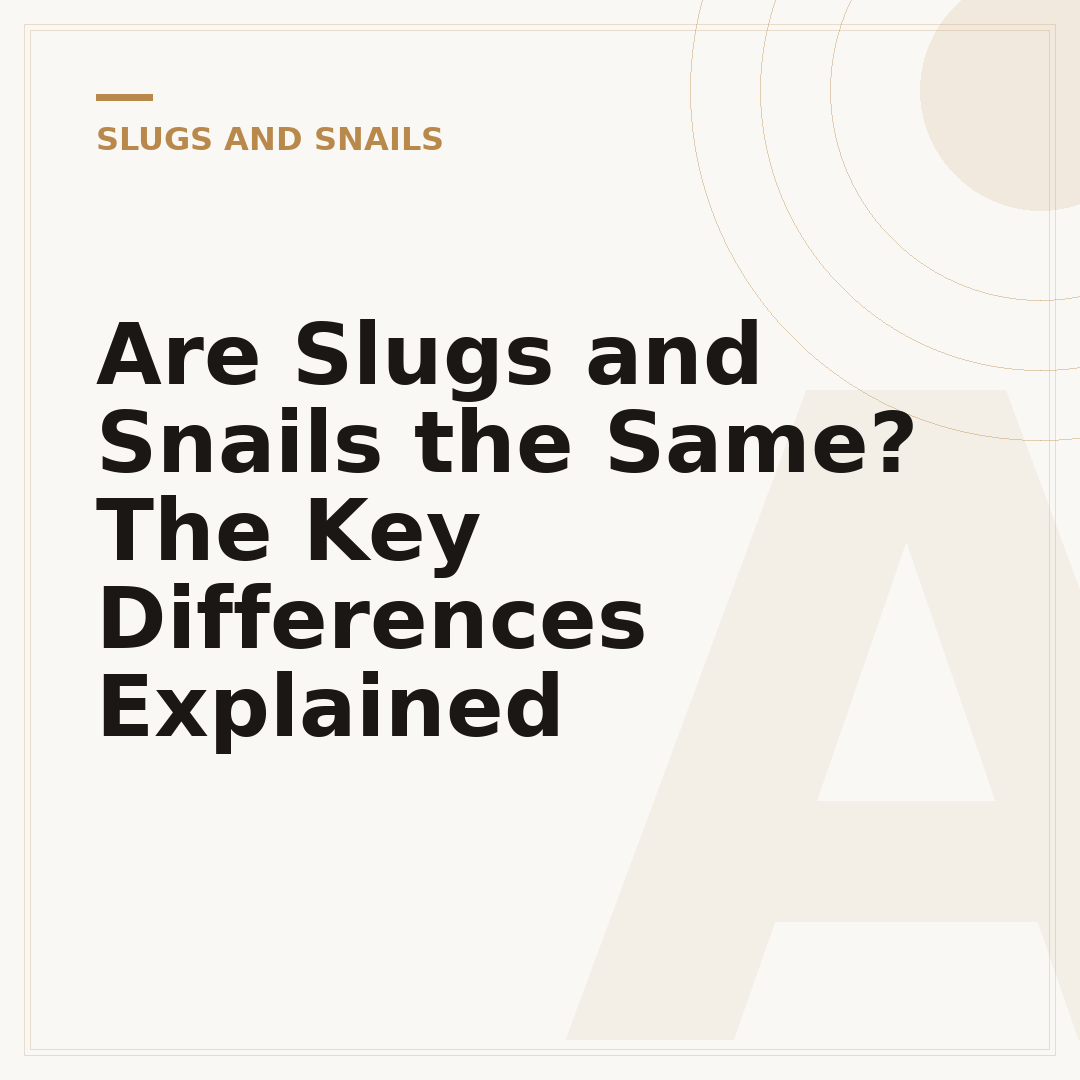 Are Slugs and Snails the Same? The Key Differences Explained
