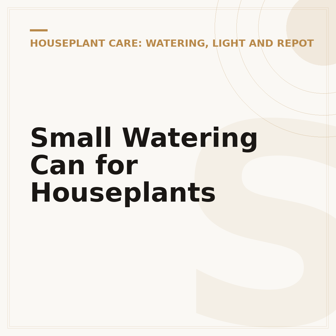 Small Watering Can for Houseplants