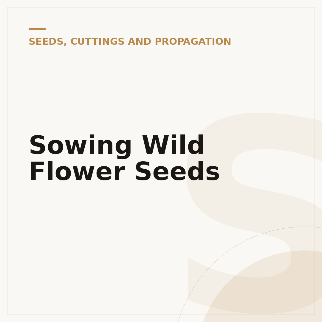 Sowing Wild Flower Seeds