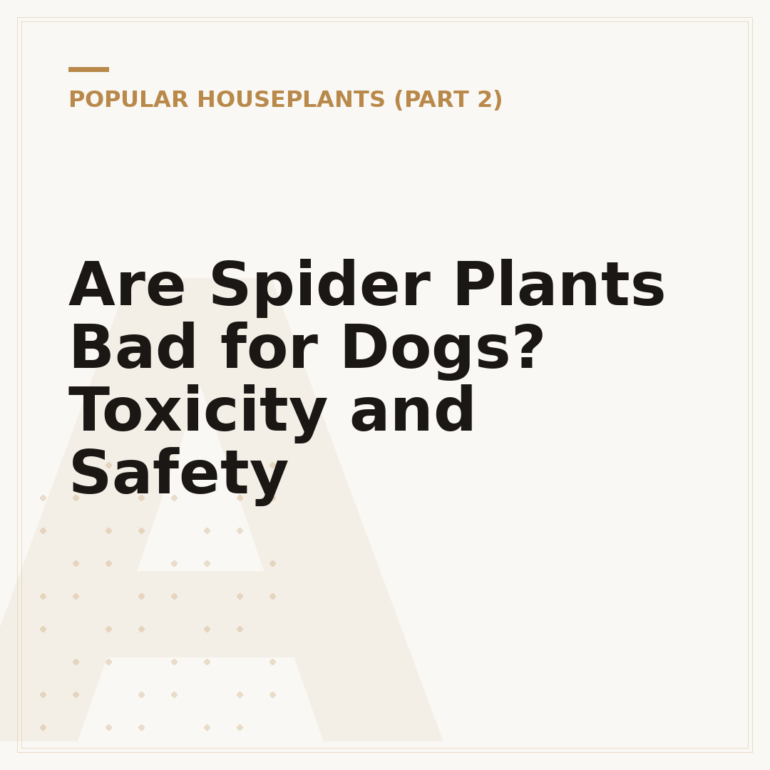 Are Spider Plants Bad for Dogs? Toxicity and Safety