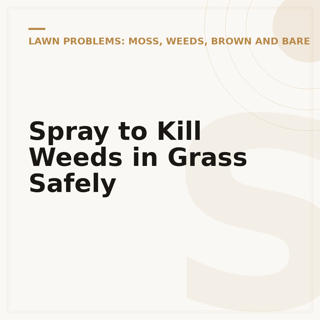 Spray to Kill Weeds in Grass Safely