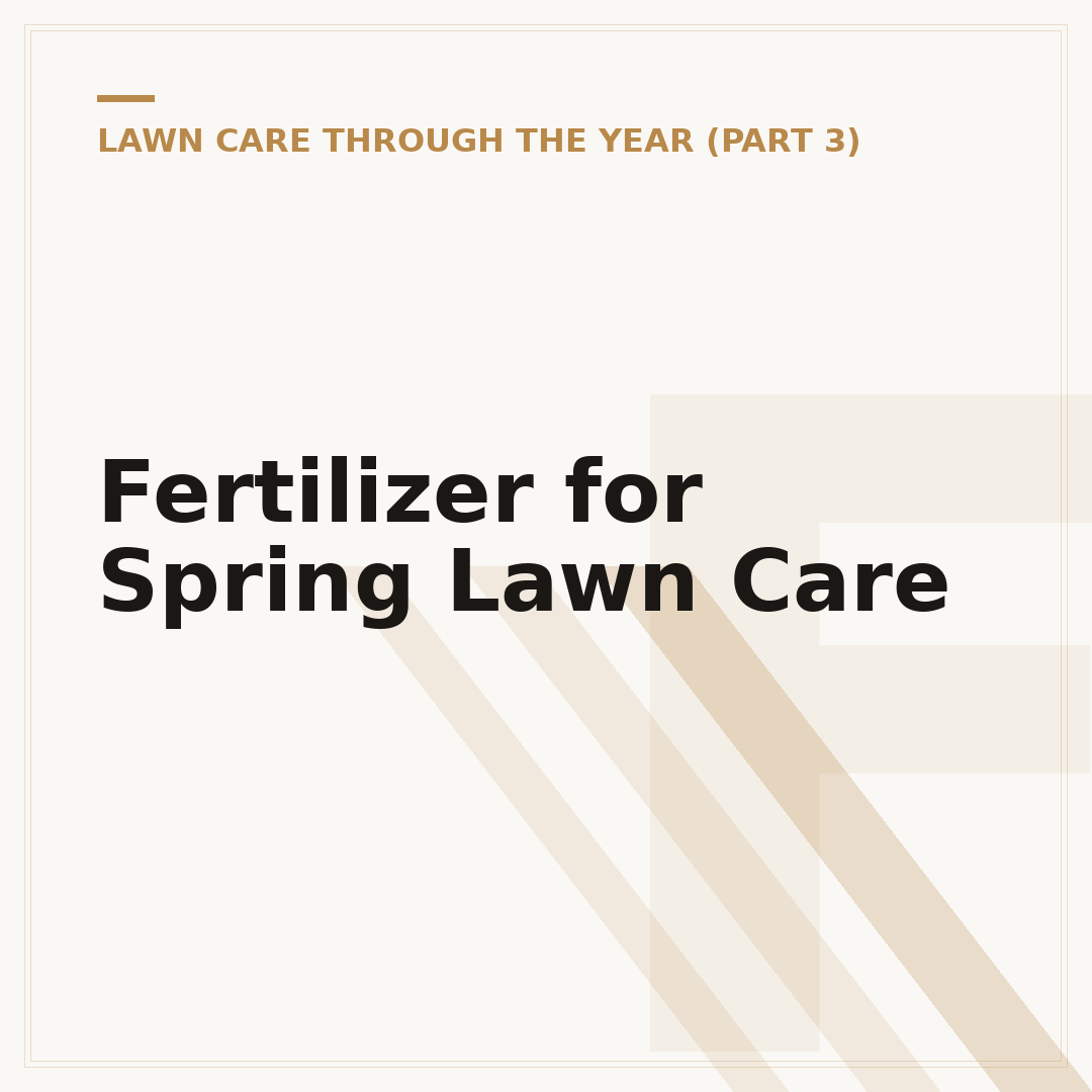 Fertilizer for Spring Lawn Care