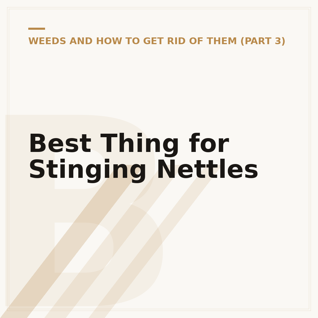Best Thing for Stinging Nettles