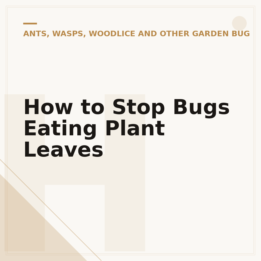 How to Stop Bugs Eating Plant Leaves