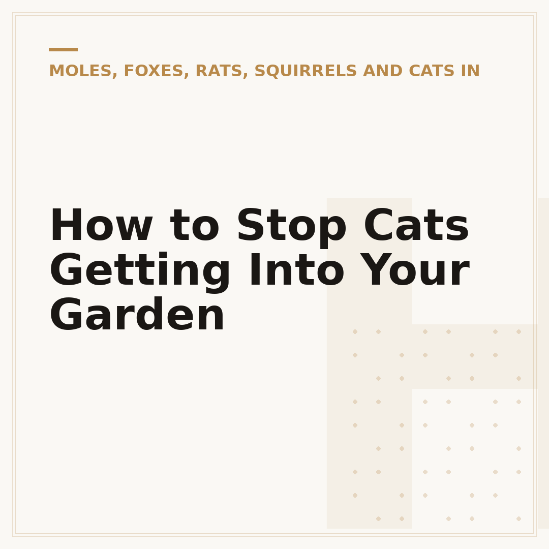 How to Stop Cats Getting Into Your Garden